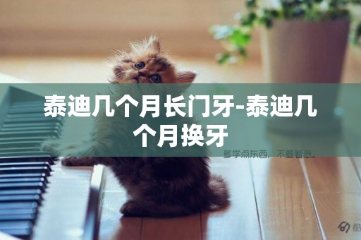 泰迪幾個月長門牙-泰迪幾個月換牙
