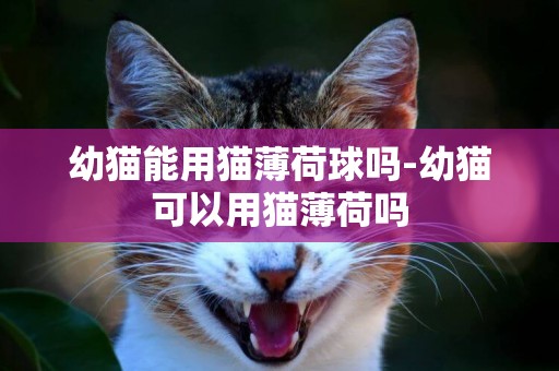 幼貓能用貓薄荷球嗎-幼貓可以用貓薄荷嗎