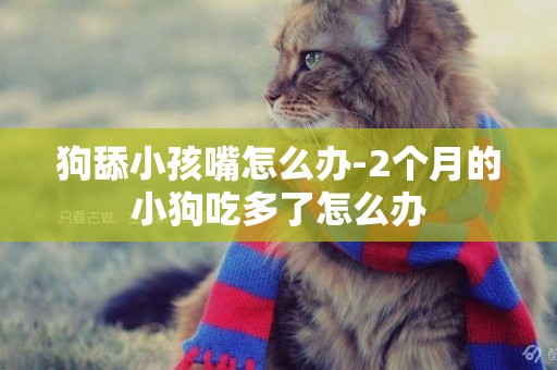 狗舔小孩嘴怎么辦-2個月的小狗吃多了怎么辦