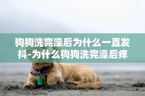 狗狗洗完澡后為什么一直發抖-為什么狗狗洗完澡后癢
