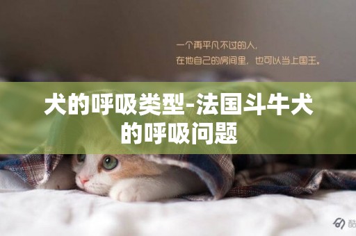 犬的呼吸類型-法國斗牛犬的呼吸問題