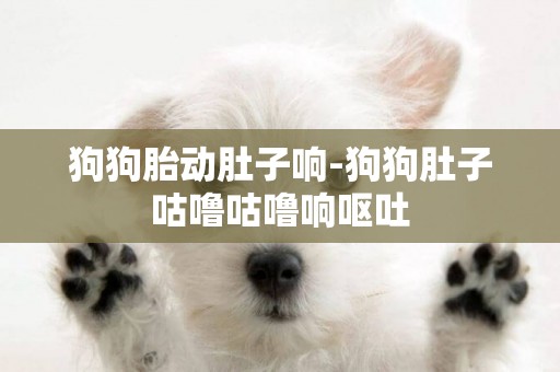 狗狗胎動肚子響-狗狗肚子咕嚕咕嚕響嘔吐