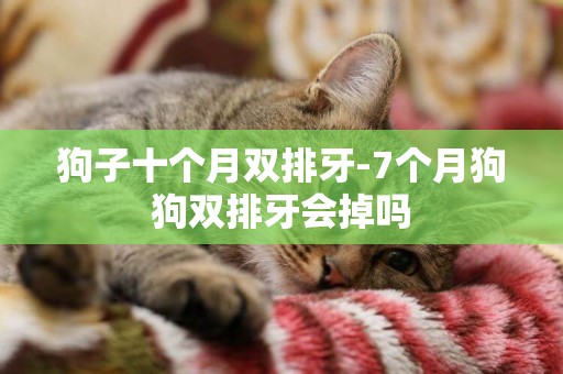 狗子十個月雙排牙-7個月狗狗雙排牙會掉嗎