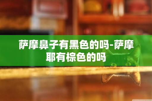 薩摩鼻子有黑色的嗎-薩摩耶有棕色的嗎