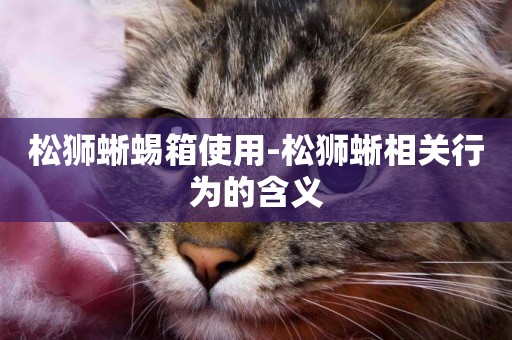 松獅蜥蜴箱使用-松獅蜥相關行為的含義