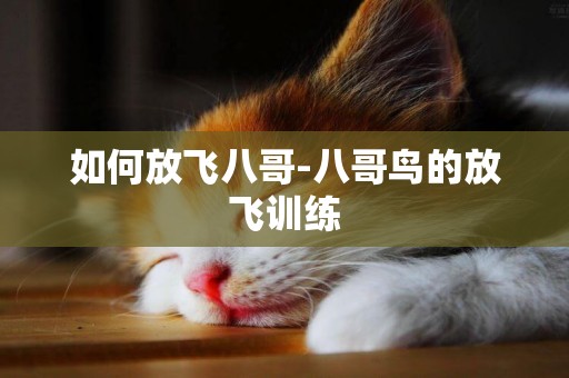 如何放飛八哥-八哥鳥的放飛訓練