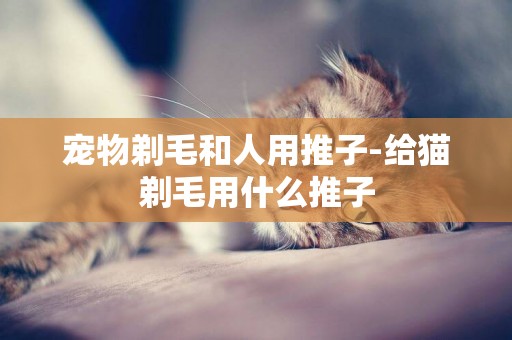 寵物剃毛和人用推子-給貓剃毛用什么推子