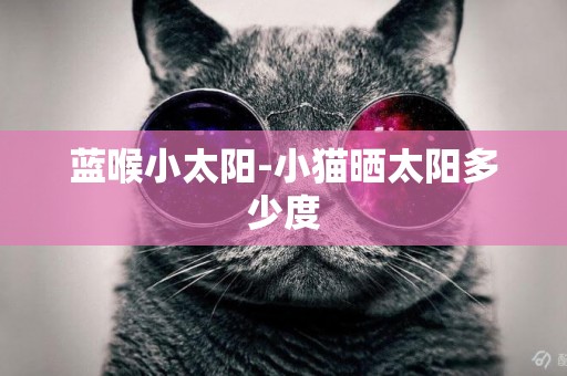 藍喉小太陽-小貓曬太陽多少度