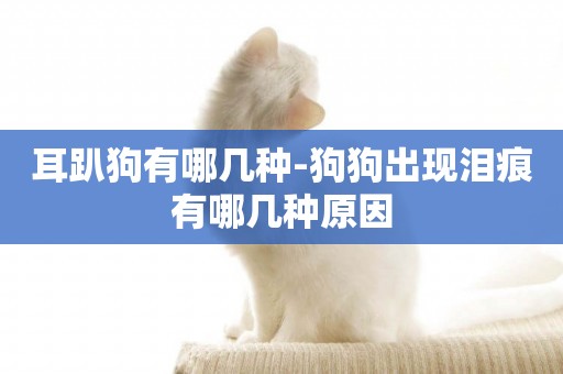 耳趴狗有哪幾種-狗狗出現淚痕有哪幾種原因