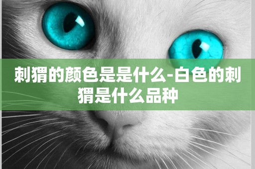 刺猬的顏色是是什么-白色的刺猬是什么品種