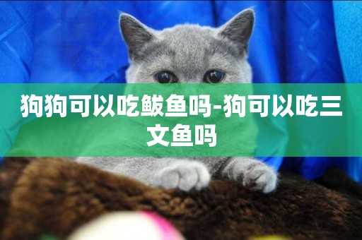 狗狗可以吃鲅魚嗎-狗可以吃三文魚嗎
