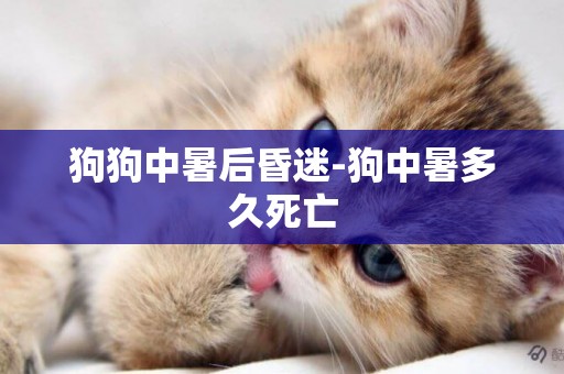 狗狗中暑后昏迷-狗中暑多久死亡