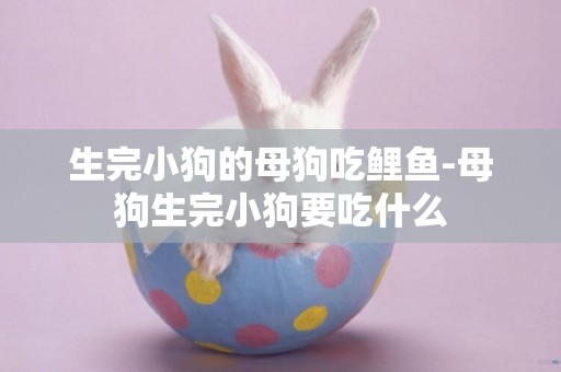 生完小狗的母狗吃鯉魚-母狗生完小狗要吃什么