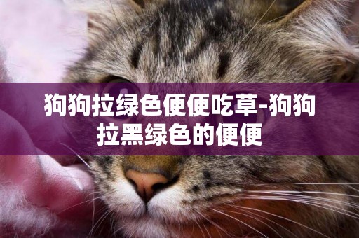 狗狗拉綠色便便吃草-狗狗拉黑綠色的便便