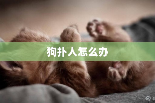 狗撲人怎么辦