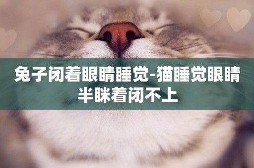兔子閉著眼睛睡覺-貓睡覺眼睛半瞇著閉不上