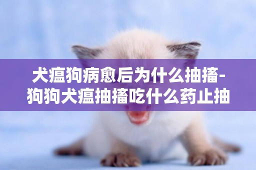 犬瘟狗病愈后為什么抽搐-狗狗犬瘟抽搐吃什么藥止抽