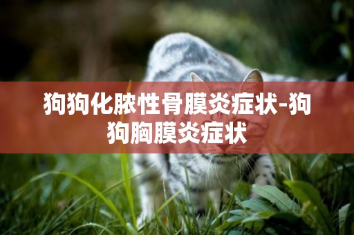 狗狗化膿性骨膜炎癥狀-狗狗胸膜炎癥狀