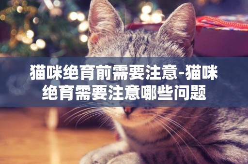 貓咪絕育前需要注意-貓咪絕育需要注意哪些問題