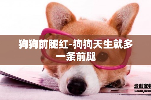 狗狗前腿紅-狗狗天生就多一條前腿