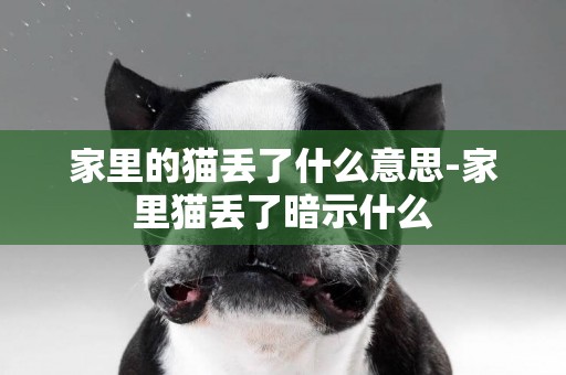 家里的貓丟了什么意思-家里貓丟了暗示什么