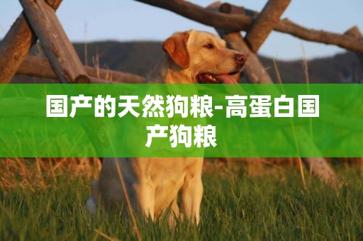 國產的天然狗糧-高蛋白國產狗糧