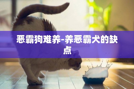 惡霸狗難養-養惡霸犬的缺點
