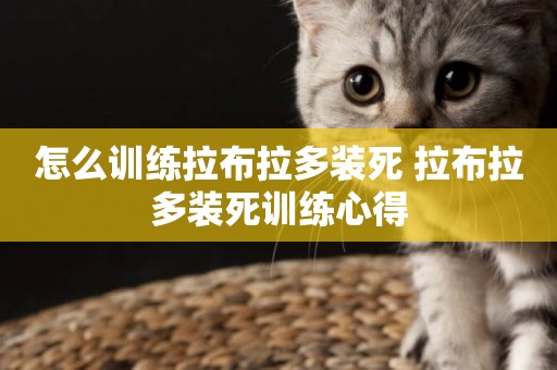 怎么訓練拉布拉多裝死 拉布拉多裝死訓練心得