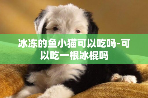冰凍的魚小貓可以吃嗎-可以吃一根冰棍嗎