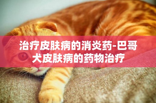 治療皮膚病的消炎藥-巴哥犬皮膚病的藥物治療