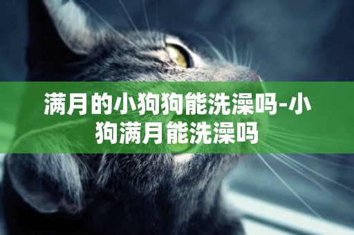 滿月的小狗狗能洗澡嗎-小狗滿月能洗澡嗎