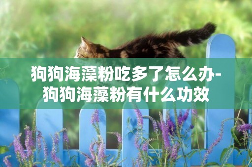 狗狗海藻粉吃多了怎么辦-狗狗海藻粉有什么功效