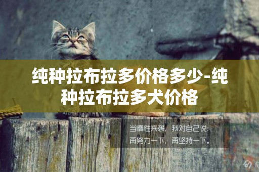 純種拉布拉多價格多少-純種拉布拉多犬價格