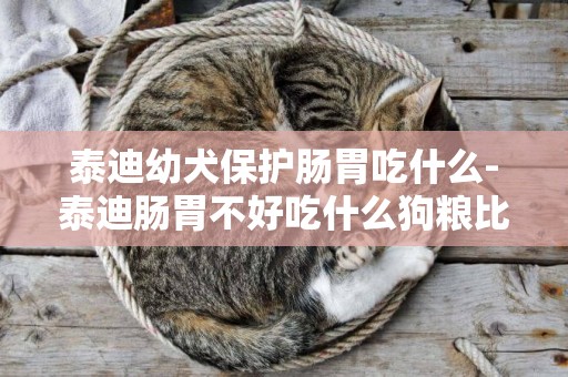 泰迪幼犬保護腸胃吃什么-泰迪腸胃不好吃什么狗糧比較好