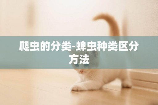 爬蟲的分類-蜱蟲種類區分方法