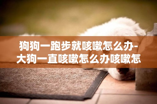 狗狗一跑步就咳嗽怎么辦-大狗一直咳嗽怎么辦咳嗽怎么辦