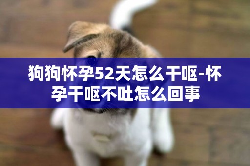 狗狗懷孕52天怎么干嘔-懷孕干嘔不吐怎么回事