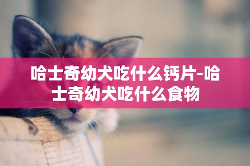 哈士奇幼犬吃什么鈣片-哈士奇幼犬吃什么食物