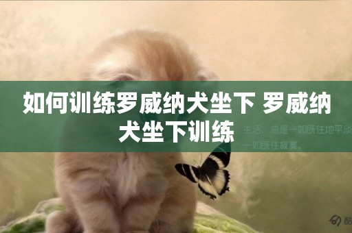 如何訓練羅威納犬坐下 羅威納犬坐下訓練
