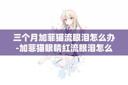 三個月加菲貓流眼淚怎么辦-加菲貓眼睛紅流眼淚怎么辦