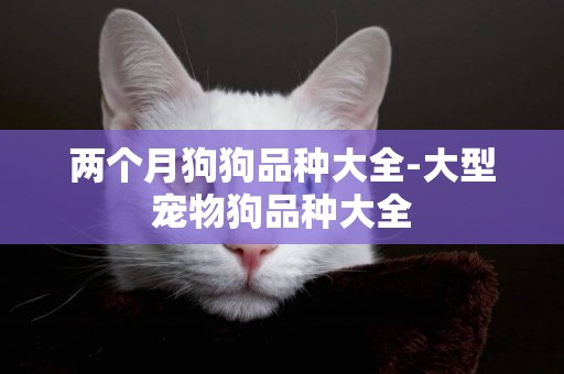 兩個月狗狗品種大全-大型寵物狗品種大全