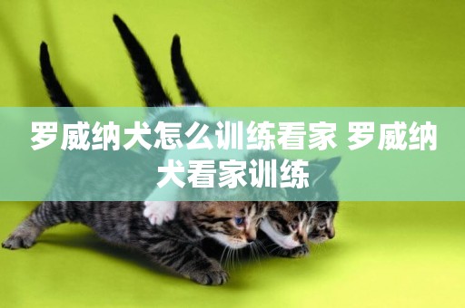 羅威納犬怎么訓練看家 羅威納犬看家訓練