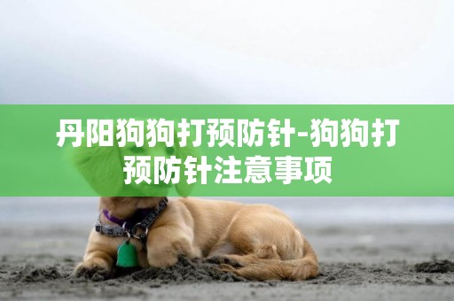 丹陽狗狗打預防針-狗狗打預防針注意事項