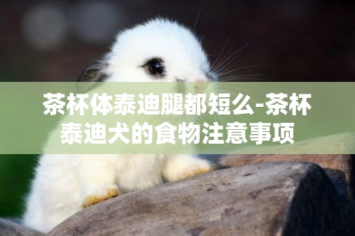 茶杯體泰迪腿都短么-茶杯泰迪犬的食物注意事項