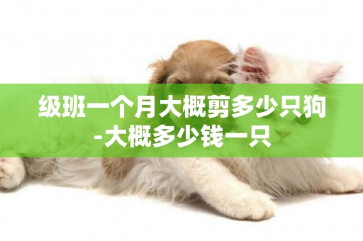 級班一個月大概剪多少只狗-大概多少錢一只