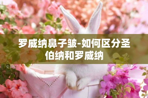 羅威納鼻子皺-如何區分圣伯納和羅威納