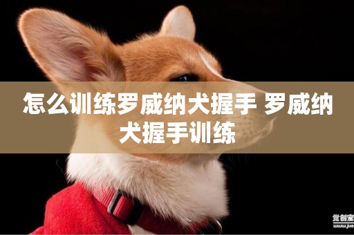 怎么訓練羅威納犬握手 羅威納犬握手訓練