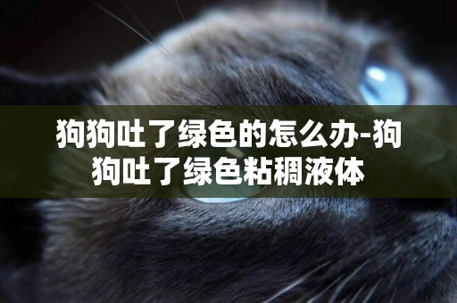 狗狗吐了綠色的怎么辦-狗狗吐了綠色粘稠液體