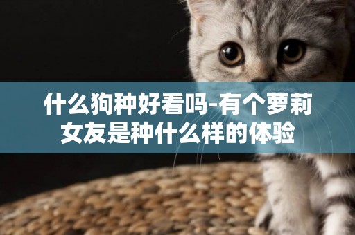 什么狗種好看嗎-有個蘿莉女友是種什么樣的體驗