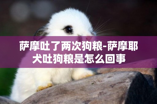 薩摩吐了兩次狗糧-薩摩耶犬吐狗糧是怎么回事